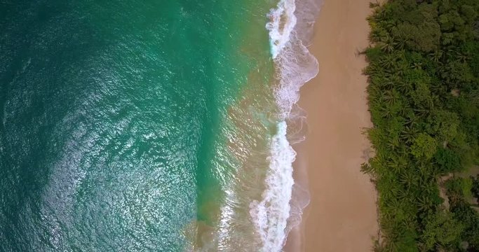 Flying over a tropical caribbean beach in Bocas del Toro, Panama