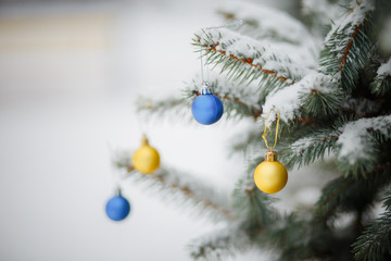 Yellow and blue Christmas tree balls in colors of the flag of Ukraine. toy on snowy tree. Christmas background. first snowfall. branches in the snow. Strong blizzards, snowy weather.