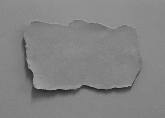 pieces of torn paper texture background, copy space.