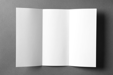 Blank brochure mock up on color background