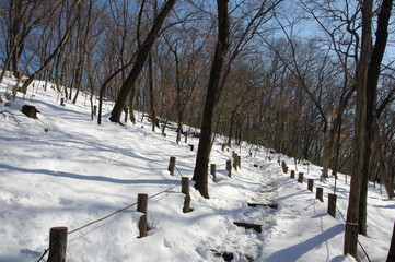 雪の公園