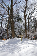 高尾山の大雪