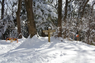 高尾山の雪