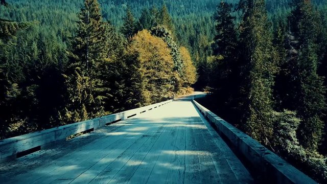 Travel nature footage over Vancouver Island in British Columbia: Sooke river, otters, bridges, cliffs, and Port Renfrew with DJI Mavic Pro drone.