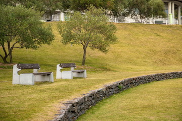 Benches and olive trees on the lawn space ,Shodoshima,Shikoku,Japan
