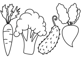 Doodle Line Garden vegetable set with carrot broccoli cucumber beet. Vector illustration