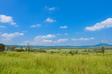 landscape of Savanna Forest and mountain with a blue sky and white clouds in the spring afternoon