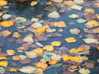 rainy autumn weather