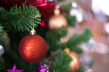 Christmas ornament ball decorate on pine tree copy space blur background for Xmas New Year festival.