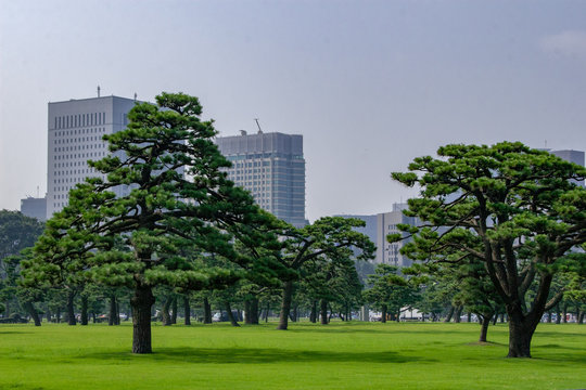 皇居前広場