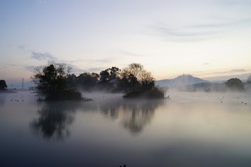 Obraz na płótnie Canvas 朝靄と池の中に浮かぶ浮島公園の風景