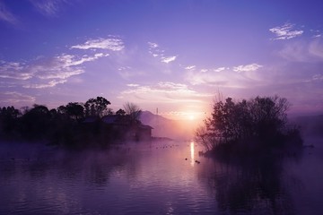 Obraz na płótnie Canvas 朝靄と池の中に浮かぶ浮島公園の風景