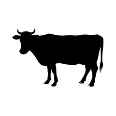 Silhouette of a standing cow
