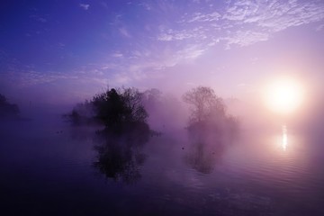 Fototapeta na wymiar 朝靄と池の中に浮かぶ浮島公園の風景