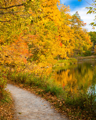 Obraz premium autumn leaves reflected in lake