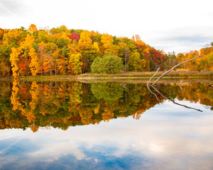 autumn leaves reflected in lake