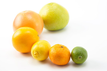 different citrus fruits on white background