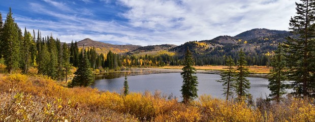Silver Lake by Solitude and Brighton Ski resort in Big Cottonwood Canyon. Panoramic Views from the hiking and boardwalk trails of the surrounding mountains, aspen and pine trees in brilliant fall autu