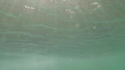 underwater view of a surfer on a wave we can see the board the rider and a nice shadow of him projected on the water