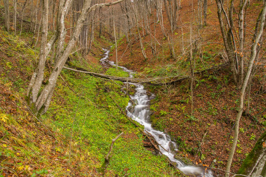 Waterfall on the stream in the forest. Otryt. Bieszczady Mountains.