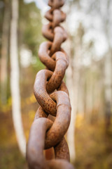 Close up Old rusty metal chains on blurred forest background