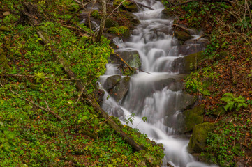 Waterfall on the stream in the forest. Otryt. Bieszczady Mountains.