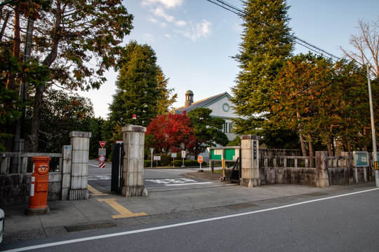 大学