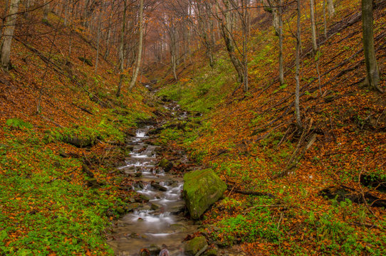 Waterfall on the stream in the forest. Otryt. Bieszczady Mountains.