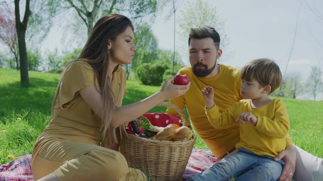 Family on a picnic