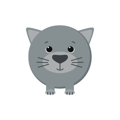 Cute grey kitten isolated on white background. Vector illustration. 