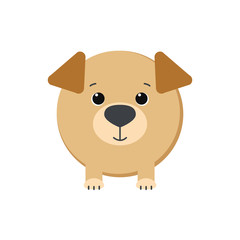Cute puppy isolated on white background. Vector illustration.