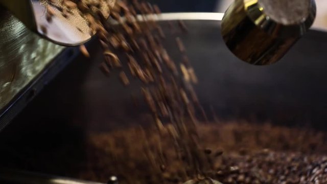 Coffee Processing. Roasted Beans In Cooling Machine Closeup