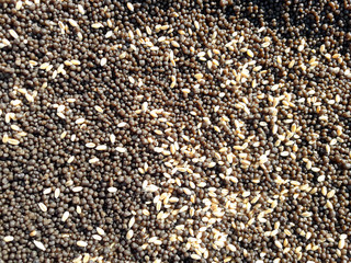 A mixture of the Wheat and fertilizer 