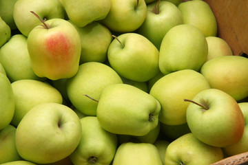 green apples on white background