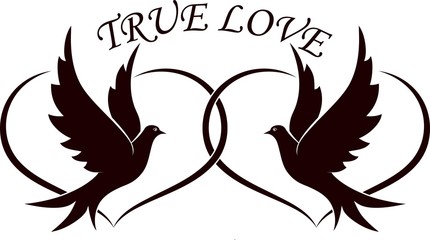 Doves with hearts and the text true love. Illustration on the theme of love