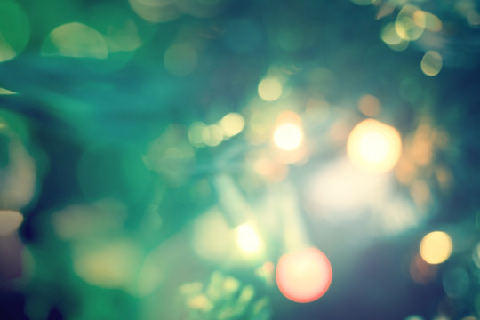 World Environment Day Concept: Abstract Bokeh Light Bulb And Blurred Green Christmas Tree Background