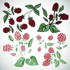 Raspberry. Set. Doodle