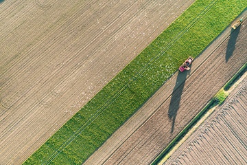 A view of a harvest potato with a tractor in a farm.