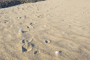 Fototapeta na wymiar 和歌山県田辺町の砂浜