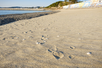 和歌山県田辺町の砂浜