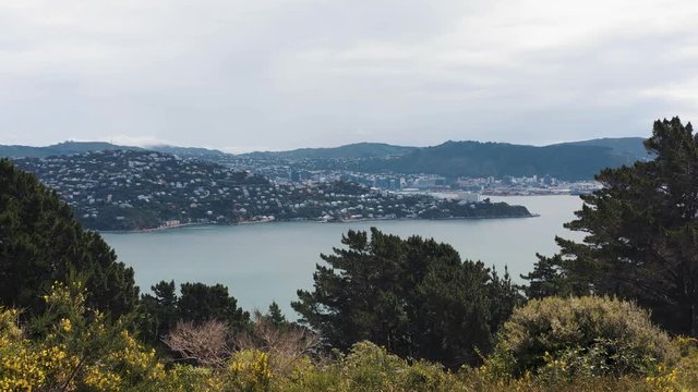 Evans bay from Miramar peninsula mountain, with Wellington city in distance.