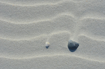 Shell sand pattern