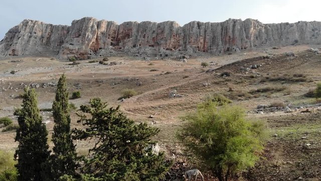 Rise Up Huge Mountain Cill And Dry Field, Trees And A Horse