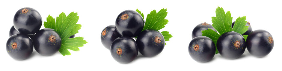black currant with green leaf isolated on white background. macro