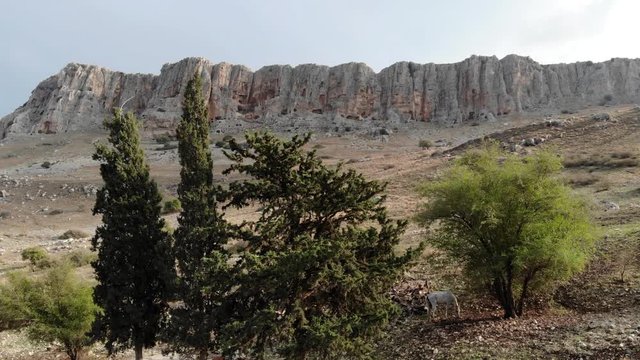 Rise Up Huge Mountain Cill And Dry Field, Trees And A Horse