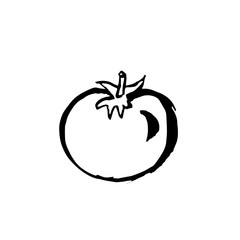 Tomato icon. Vector brush ink illustration.