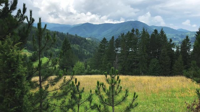 The wild nature of Serbia is a view from the forest to the edge and mountains in the distance on a cloudy rainy summer day