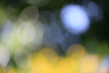 The blur of the camera blur does not focus.