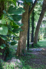 Relaxing spot in the garden with swing