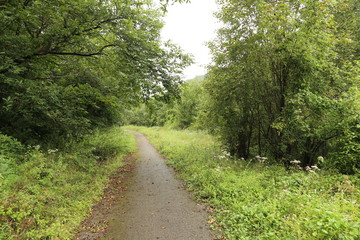 Obraz premium Cuenca Minera de Mieres